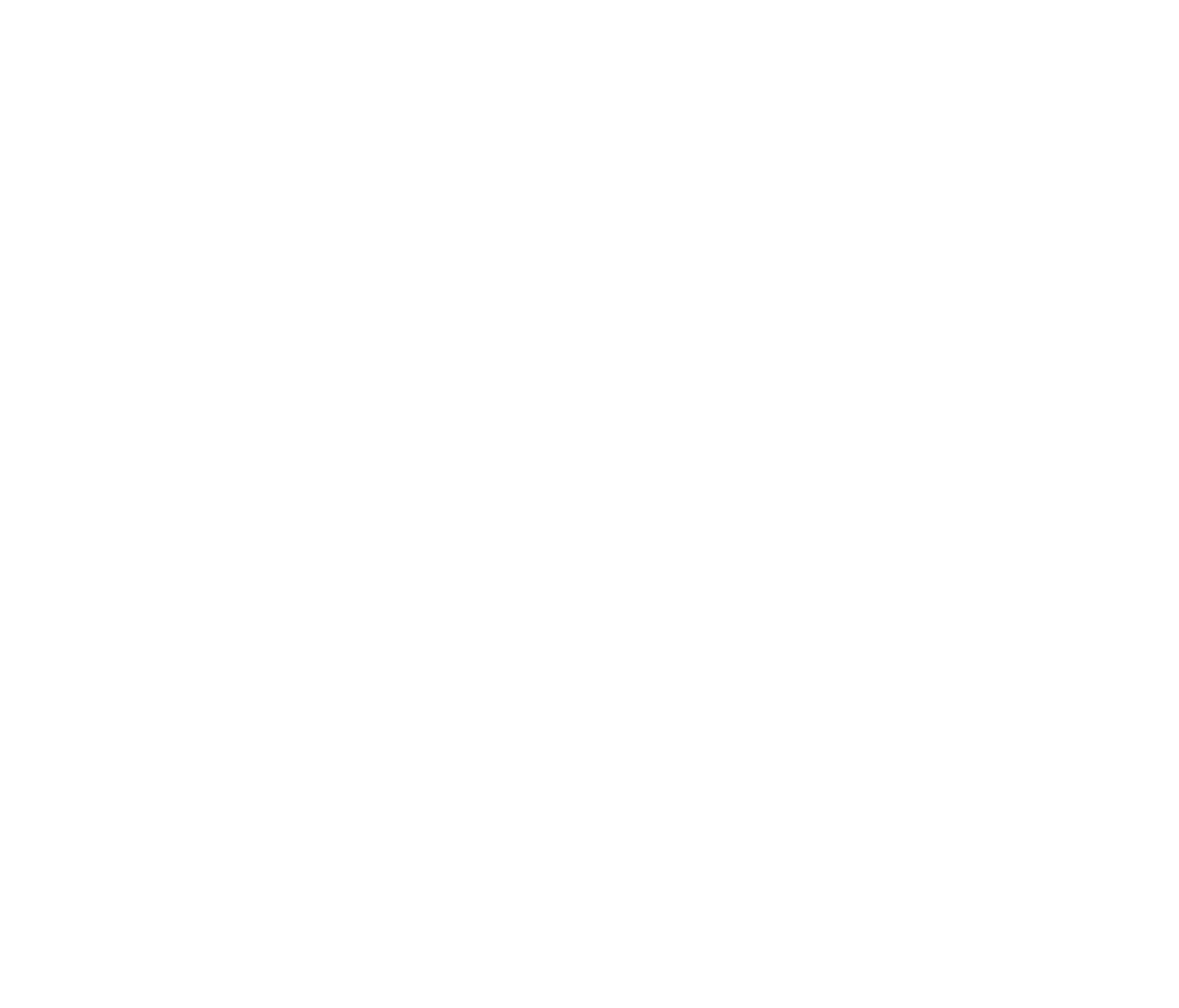 ZY signature